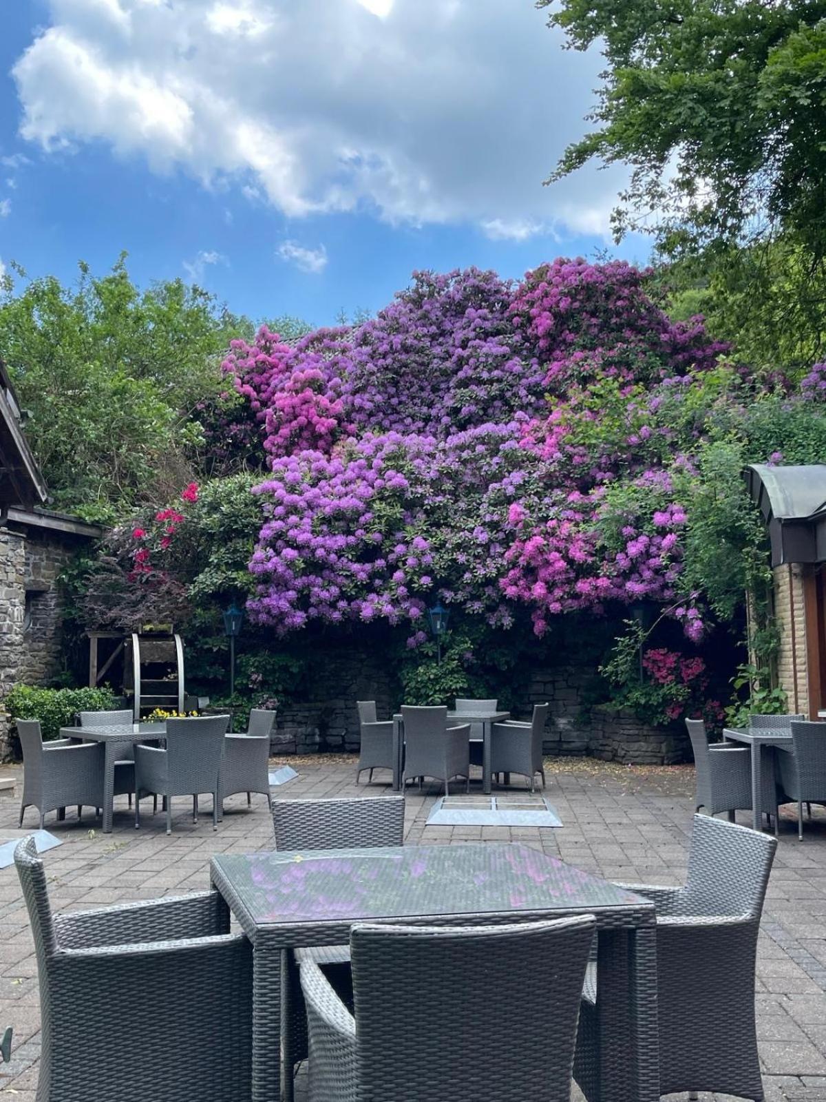 Hotel Zur Muehle Iserlohn Buitenkant foto